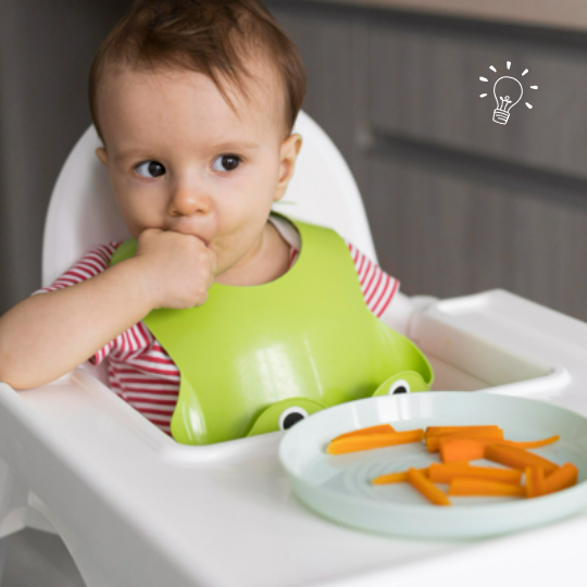 From Highchairs to Utensils: The Complete Guide to Baby Weaning Essentials