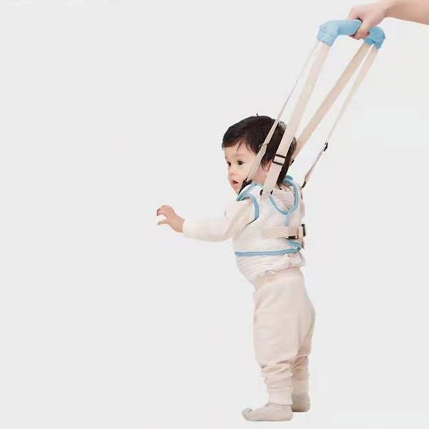 baby standing wearing walking harness leash 